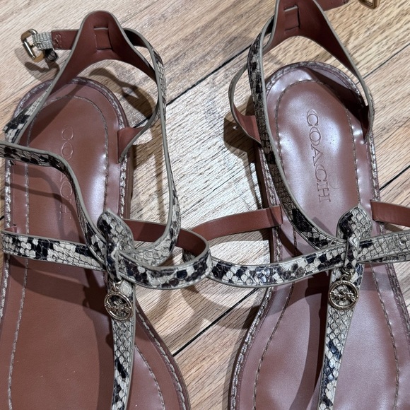 COACH Snake Print Sandals in size 7.5 - Picture 5 of 11